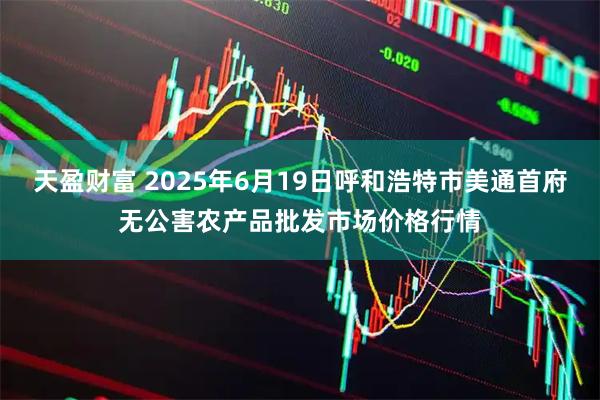 天盈财富 2025年6月19日呼和浩特市美通首府无公害农产品批发市场价格行情