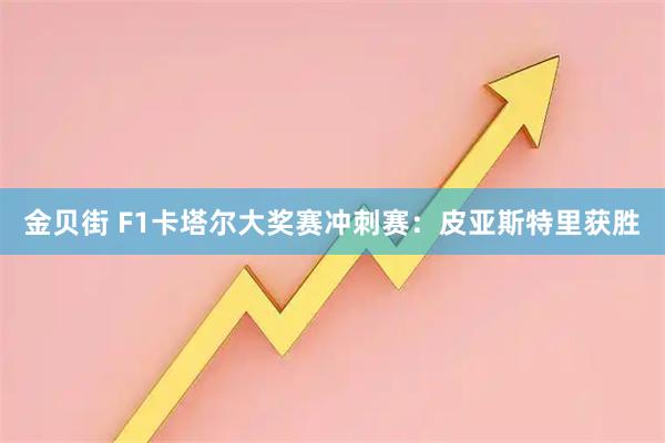 金贝街 F1卡塔尔大奖赛冲刺赛：皮亚斯特里获胜