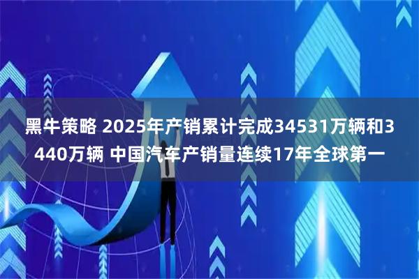 黑牛策略 2025年产销累计完成34531万辆和3440万辆 中国汽车产销量连续17年全球第一