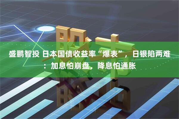 盛鹏智投 日本国债收益率“爆表”，日银陷两难：加息怕崩盘，降息怕通胀
